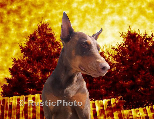 Fully global warming resistant