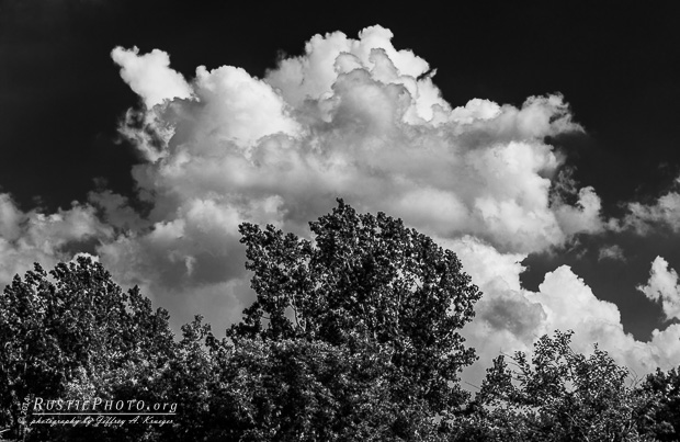 Cloud and tree mirror