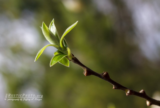 Spring is in the air