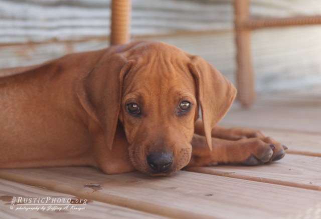 Still fits under a chair