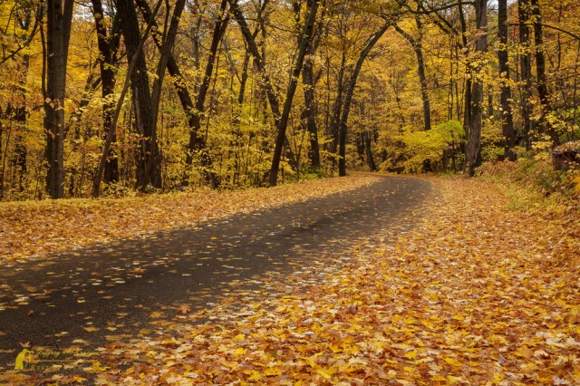 Classic Curving Road